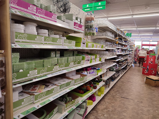 Dollar Store «Dollar Tree», reviews and photos, 3172 Middle Country Rd, Lake Grove, NY 11755, USA