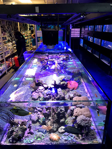 Pet Supply Store «Professional Fish Keepers Aquarium Store», reviews and photos, 7573 W Sample Rd, Coral Springs, FL 33065, USA