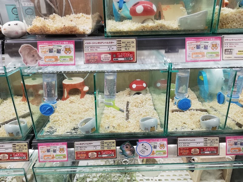 ペットの専門店 コジマ 両国店 東京都墨田区亀沢 ペットショップ ペット グルコミ