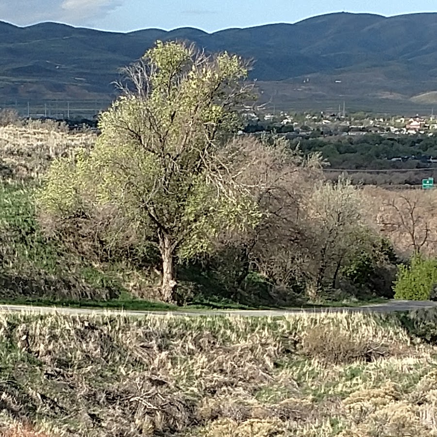 Jordan River Parkway Trail