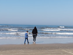 Praia Rota Plajı'in fotoğrafı imkanlar alanı