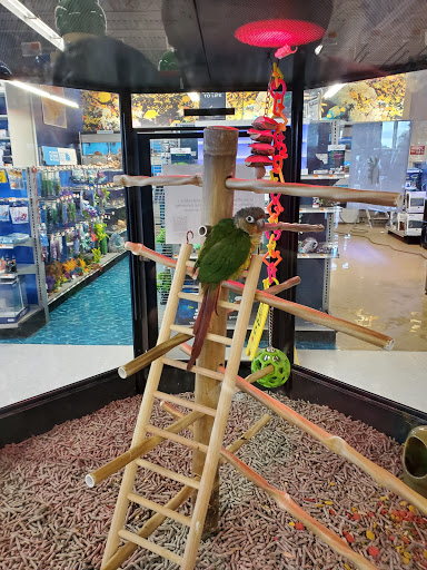 Pet Supply Store «Petco Animal Supplies», reviews and photos, 8909 Branch Ave d, Clinton, MD 20735, USA