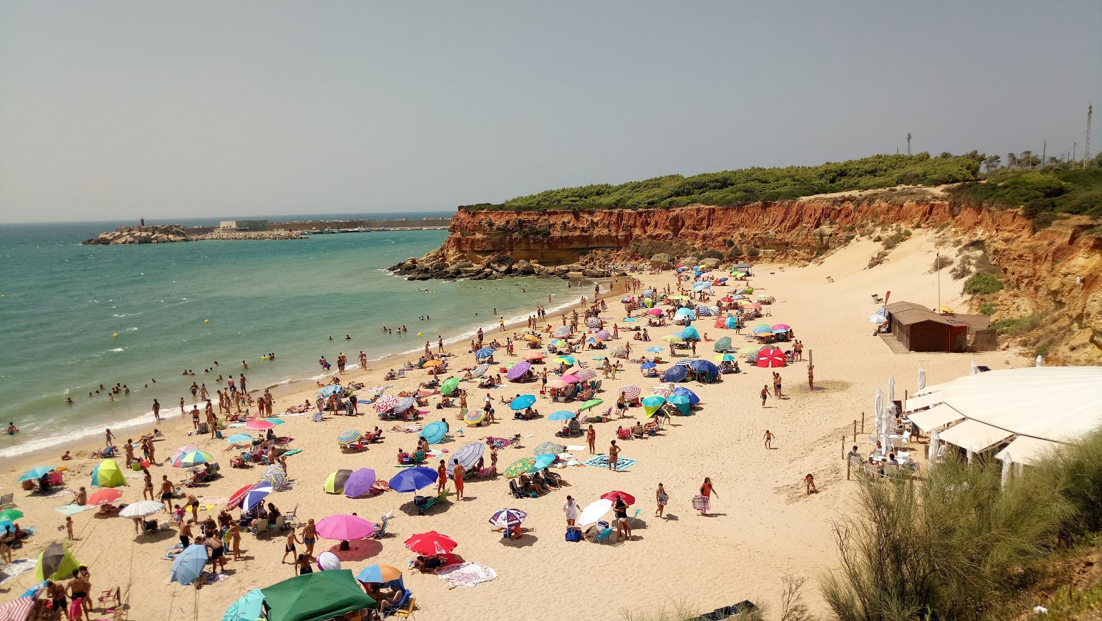 Cala del Aceite photo #7