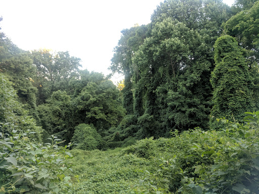 National Park «Battery Kemble Park», reviews and photos, 3035 Chain Bridge Rd NW, Washington, DC 20016, USA