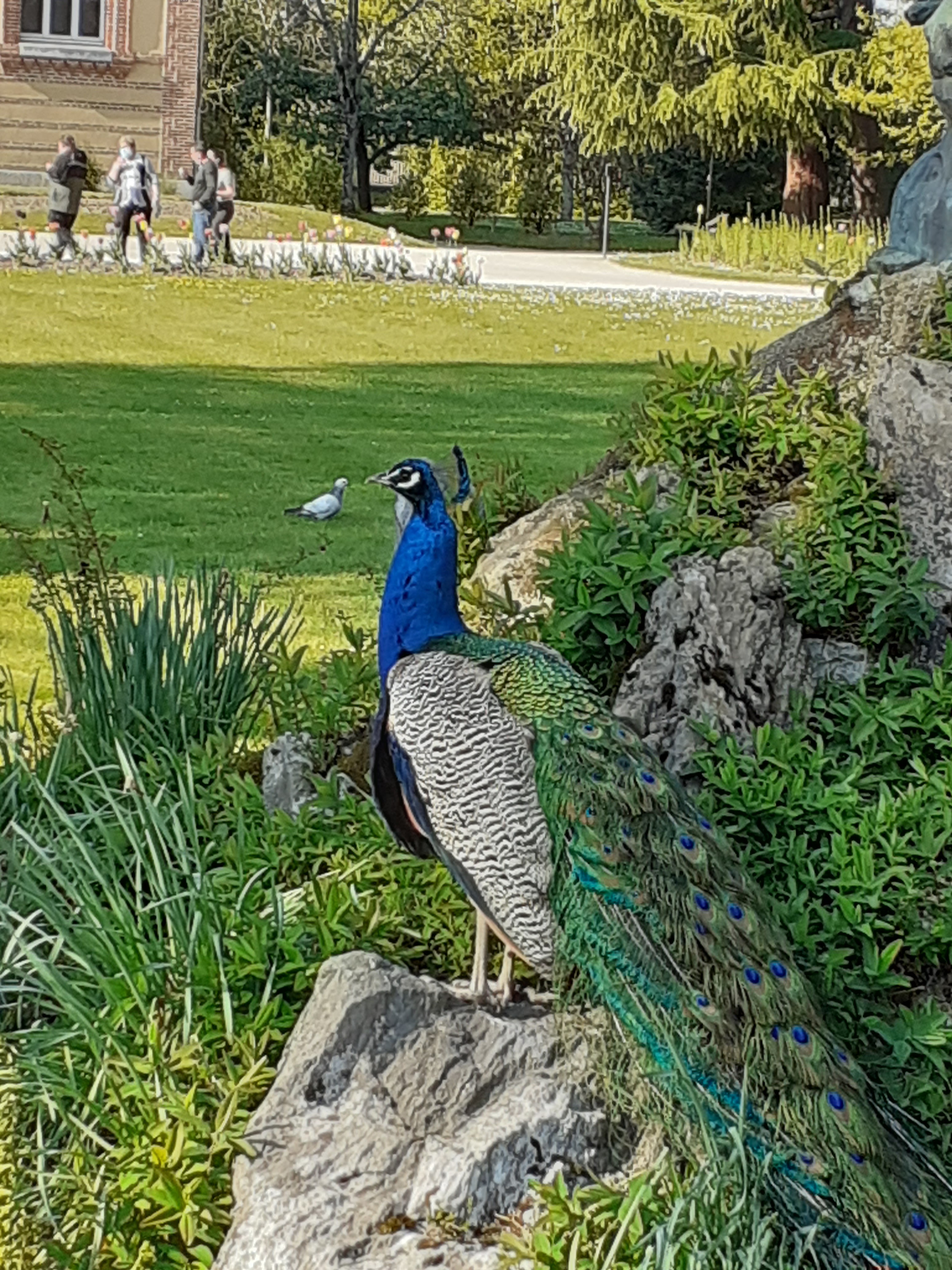 Photo n° 5 de l'avis de Lionel.a fait le 29/06/2021 à 18:43