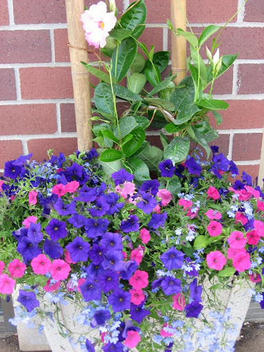 Florist «Best Wishes Floral», reviews and photos, 689 Winnetka Ave N, Golden Valley, MN 55427, USA