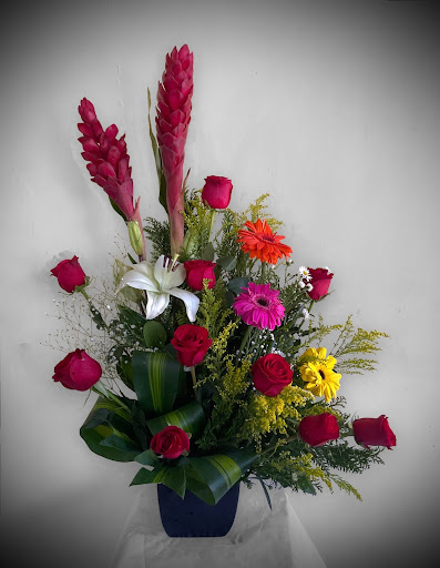 FLORERIA EL Modelo – Ciudad Apodaca
