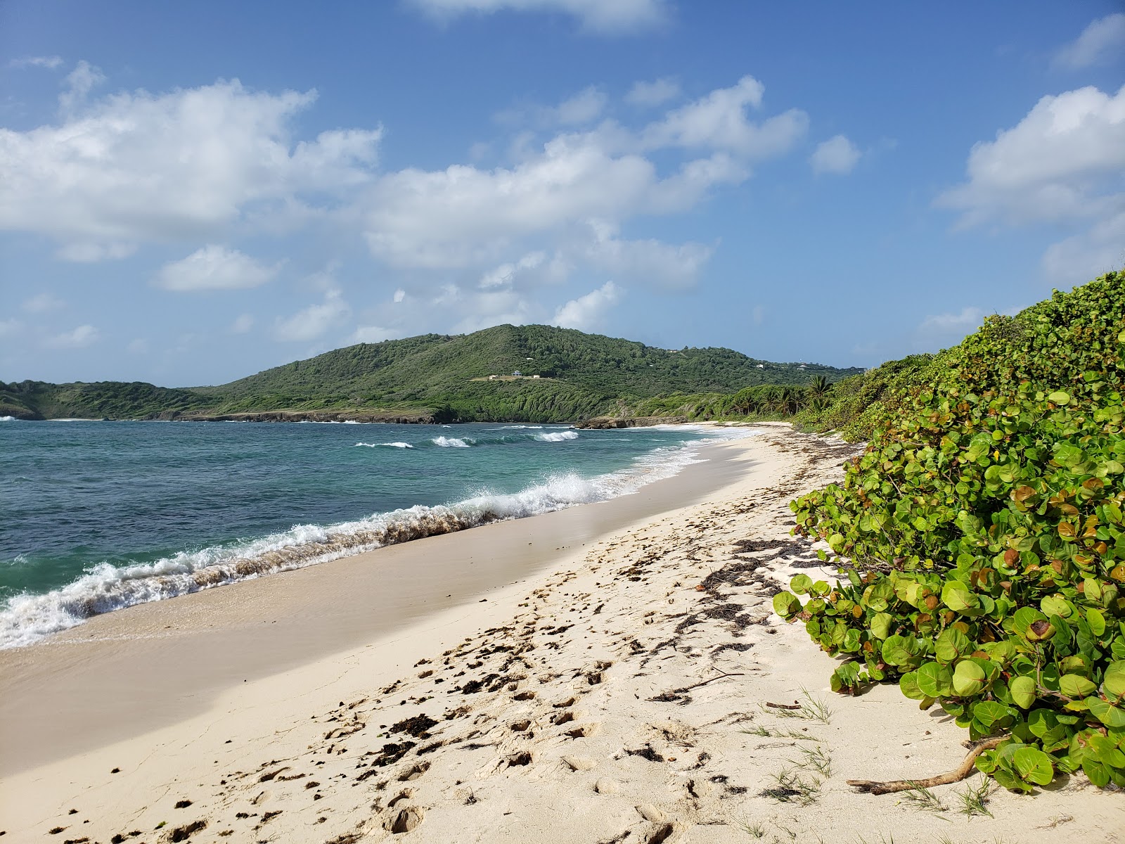Plage de Cap Macre的照片 带有小米色卵石表面