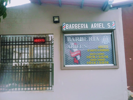 Barberia ariel s.