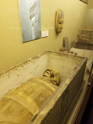 Museum «Rosicrucian Egyptian Museum», reviews and photos, 1660 Park Ave, San Jose, CA 95191, USA