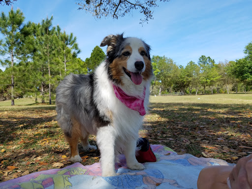 Golf Club «Brentwood Farms Golf Club», reviews and photos, 1720 W Nicole Dr, Lecanto, FL 34461, USA