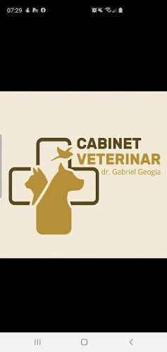 CABINET VETERINAR DR GABRIEL GEOGIA - <nil>