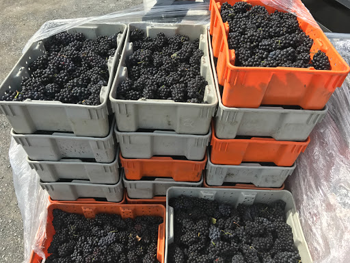 Winery «Benmarl Winery», reviews and photos, 156 Highland Ave, Marlboro, NY 12542, USA