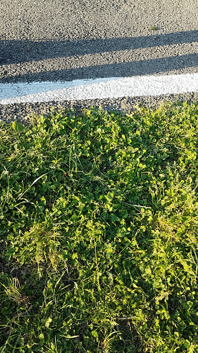 Park «Beekman Recreation Park», reviews and photos, 29 Recreation Center Rd, Hopewell Junction, NY 12533, USA