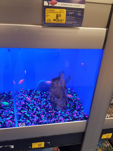 Pet Supply Store «PetSmart», reviews and photos, 98 Providence Hwy, East Walpole, MA 02032, USA