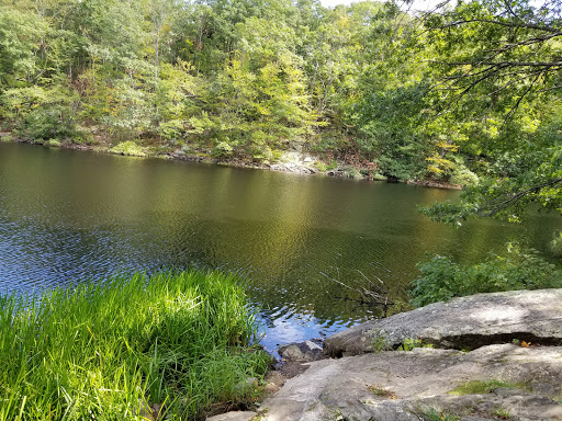 Devil's Den Preserve