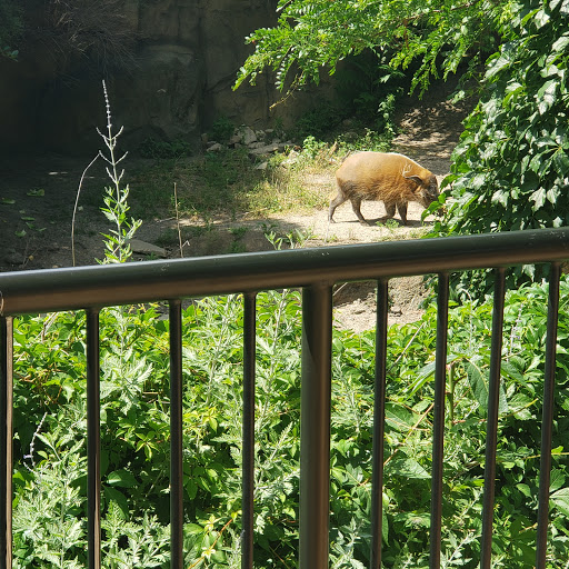 Zoo «Farm In The Zoo», reviews and photos, 1911 N Stockton Dr, Chicago, IL 60614, USA