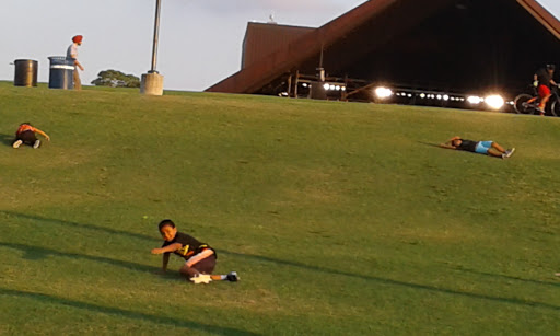 Performing Arts Theater «Miller Outdoor Theatre», reviews and photos, 6000 Hermann Park Dr, Houston, TX 77030, USA