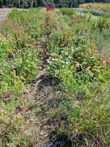 Farm «Oak Hill Farm», reviews and photos, 15101 CA-12, Glen Ellen, CA 95442, USA