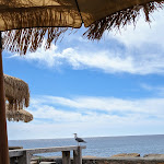 Photo n° 1 de l'avis de Rene.a fait le 04/09/2023 à 15:35 pour Le Spot BANDOL à Bandol