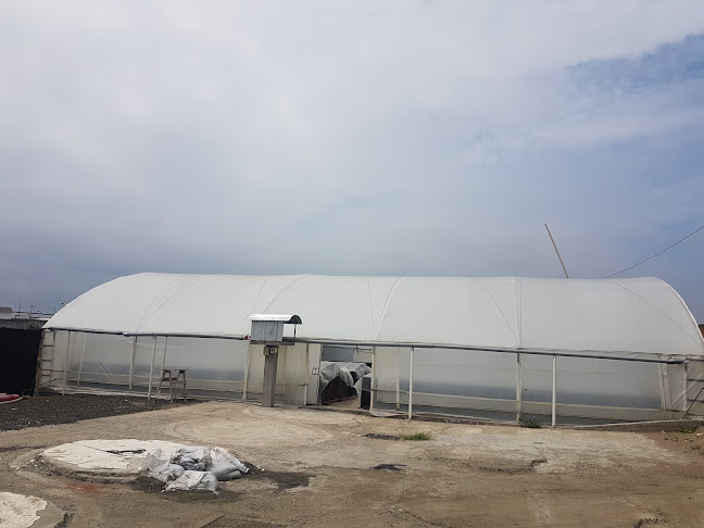 Laboratorio Arrecife