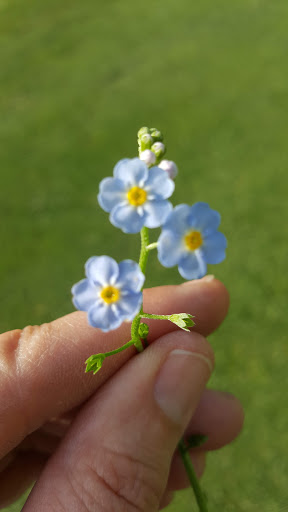 Golf Club «Alling Memorial Golf Course», reviews and photos, 35 Eastern St, New Haven, CT 06513, USA