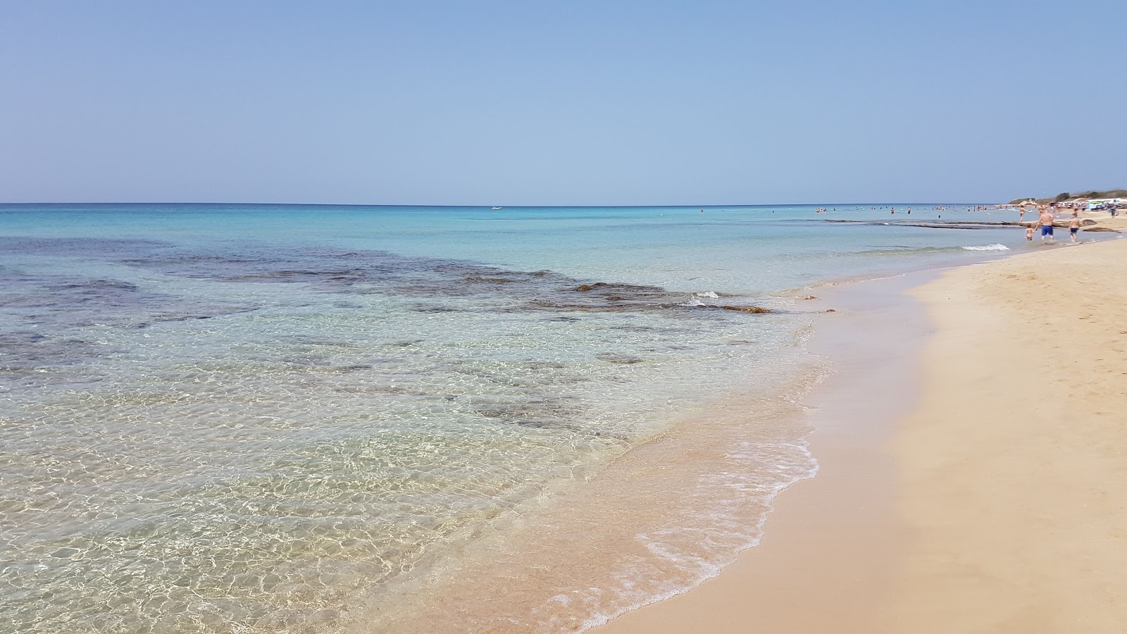 Foto van Pescoluse Strand gelegen in een natuurlijk gebied