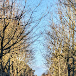 Photo n° 25 de l'avis de The.a fait le 02/12/2023 à 17:01 pour Parc de La Higourdais à Epiniac