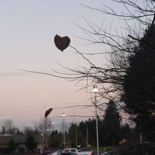 Tourist Attraction «NatureScaping Wildlife Botanical Gardens», reviews and photos, 11000 NE 149th St, Brush Prairie, WA 98606, USA