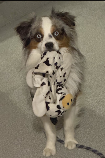 Explore kurama tattoo ideas, creative tattoo ideas in Orem, available at Painted Temple Tattoo