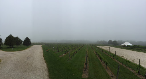 Winery «Channing Daughters Winery», reviews and photos, 1927 Scuttle Hole Rd, Bridgehampton, NY 11932, USA
