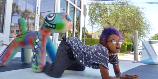 Pet Supply Store «Dog Bar», reviews and photos, 1684 Jefferson Ave, Miami Beach, FL 33139, USA