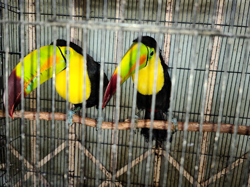 Pet Store «Pet Source 1901», reviews and photos, 1901 W 8th St B, Los Angeles, CA 90057, USA