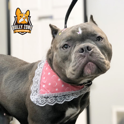 Pet Supply Store «Bully Zone Pet Supplies & Pet Grooming», reviews and photos, 1409 McCarter Hwy, Newark, NJ 07104, USA