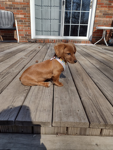 Bed, Biscuits and Beyond