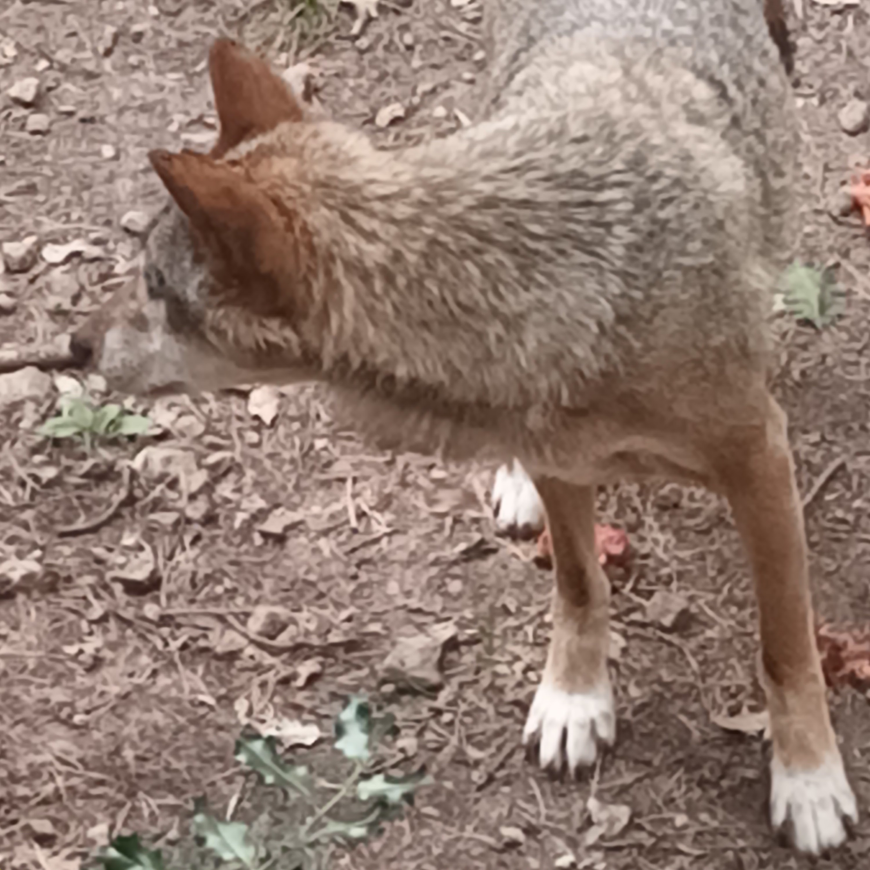Photo n° 5 de l'avis de Jean.u fait le 20/07/2023 à 15:55
