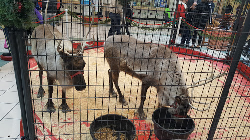 Shopping Mall «Palmer Park Mall», reviews and photos, 123 Palmer Park Mall, Easton, PA 18045, USA