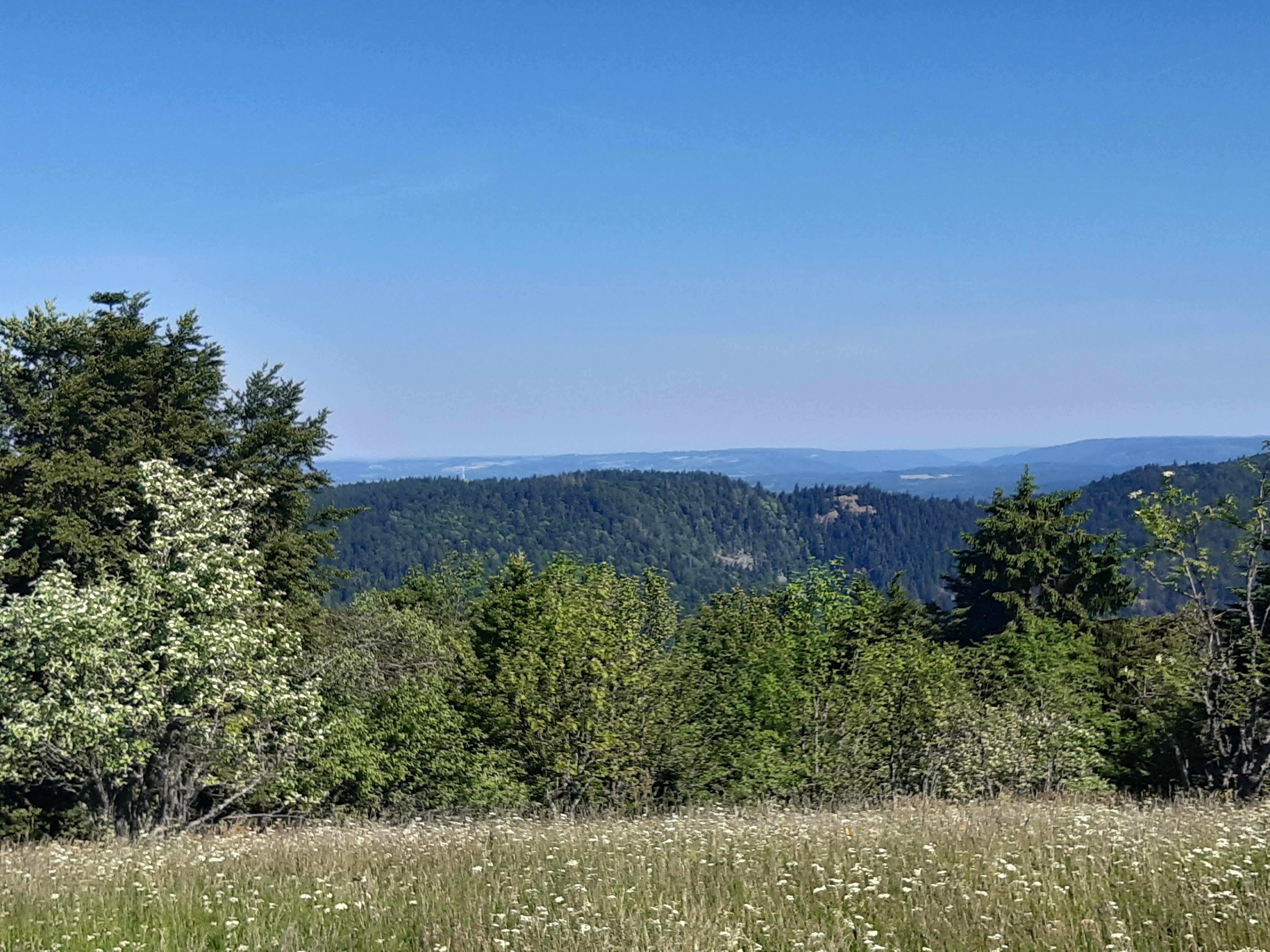 Photo n° 10 de l'avis de Didier.A fait le 13/06/2023 à 14:14