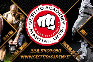 Sestito Academy of Martial Arts Asd image