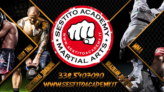 Sestito Academy of Martial Arts Asd Via dei Tigli, 17, 06083 Bastia Umbra PG, Italia