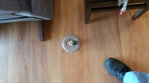 Furniture Store «La-Z-Boy Furniture Galleries», reviews and photos, 565 Market Ct, Myrtle Beach, SC 29577, USA