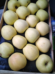 Photo n°6 de Les Vergers de la Manse à Sepmes ()