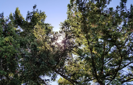 Car Wash «Classic Car Wash», reviews and photos, 10189 SE Sunnyside Rd, Clackamas, OR 97015, USA