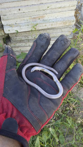 Tire Shop «Firestone Complete Auto Care», reviews and photos, 8360 Limonite Ave, Riverside, CA 92509, USA