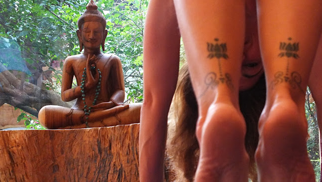 Comentários e avaliações sobre Mukti Yoga Shala