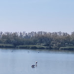 Photo n°5 de l'avis de Stefano. fait le 16/04/2024 à 07:38 sur le  Hotel Rurale Canneviè à Codigoro