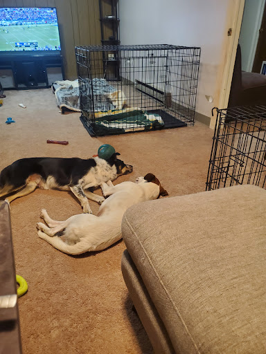 Pet Supply Store «Raw Paws Pet Food», reviews and photos, 5601 Fortune Cir S P, Indianapolis, IN 46241, USA