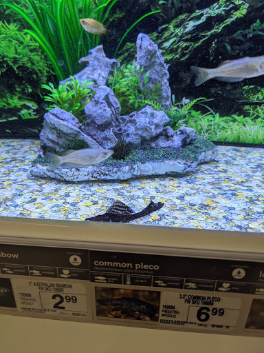 Pet Supply Store «Petco Animal Supplies», reviews and photos, 1919 El Camino Real, Mountain View, CA 94040, USA