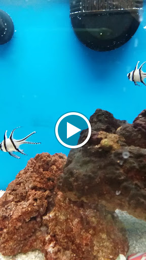 Pet Supply Store «Petco Animal Supplies», reviews and photos, 1169 Valley River Dr, Eugene, OR 97401, USA