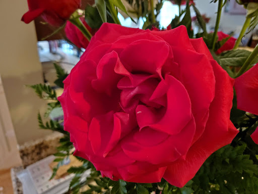 Florist «Rose Florist Inc.», reviews and photos, 11211 Lee Hwy E, Fairfax, VA 22030, USA